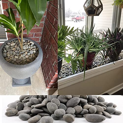 18 Pounds Natural River Rocks Mexican Beach Pebbles for Garden Landscape Stone Paving Stone Grey (1Inch) - size: 18LB, style: Medium