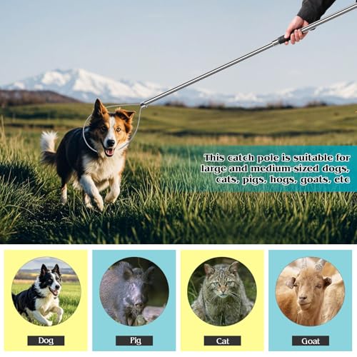 Dog Catcher Pole 61 Inches, Animal Catch Pole Heavy Duty | Stainless Steel Catch and Release Pole for Cats, Dogs, Hogs, and Pigs, Animal Control Tools