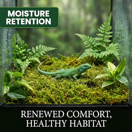 Sukh Sphagnum Moss for Reptiles - Terrarium Reptile Moss Substrate, 11.2 OZ | Habitat Bedding for Snake, Gecko, Turtle, Frog, Bearded Dragon, Jumping Spider, Chameleon, Enclosure & Tank Accessories Decor - size: 11.2 Ounces