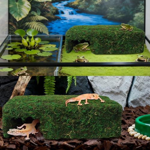 Handmade Reptile Moss Cave M, 9.4" Shelter for Gecko Hamster | Moss reptile cave hide, Smooth edges, no injury, Suitable for humid environments - color: M Green