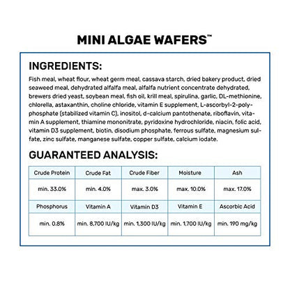 Hikari Mini Algae Wafers, 0.77 oz - size: 0.77 Ounce (Pack of 1)