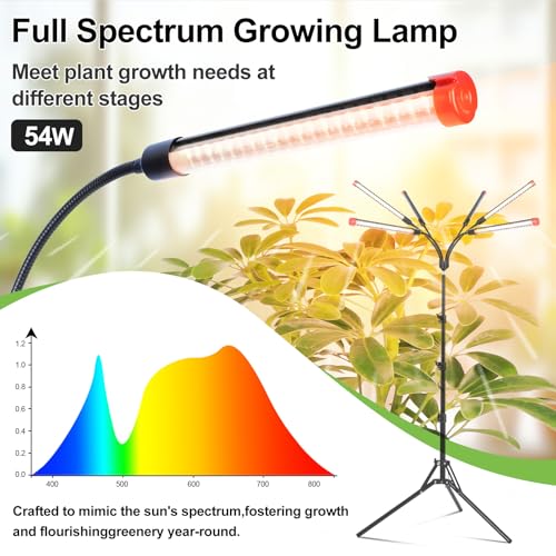 6Head Grow Light with Stand for Tall and Large Indoor Plants, Bonsai Tree, Big Coverage and Bright Plant Growing Lamps, 4/8/12/16/20H Timer, 54 Watt Power Draw, NO Need Adapter, 360° Gooseneck - size: Stand-6Head-54W