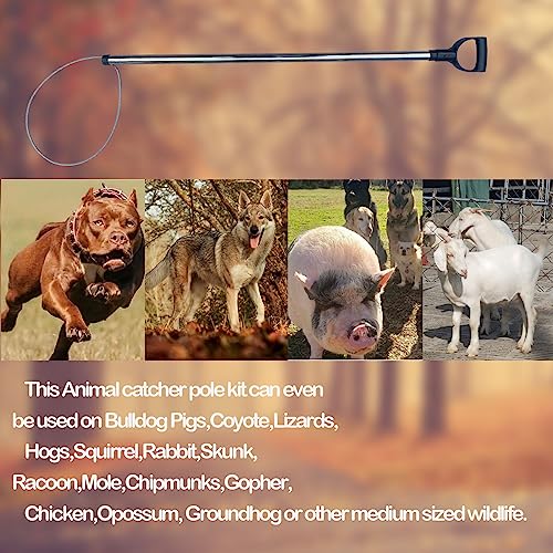 45'' Animal Catcher Pole Control Tool Heavy Duty Catch Pole for Bulldog Hog Goat and Wildlife,All Stainless Steel