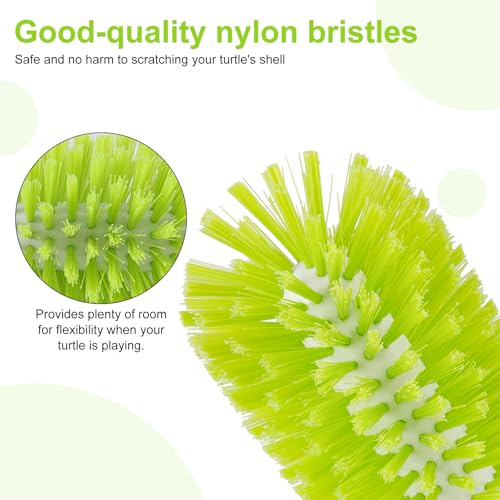 2pcs Turtle Brush, Turtle Shell Brush with Suction Cup Turtle Shell Scratcher Tortoise Shell Cleaning Brushes Turtle Exfoliate Brush Turtle Scrub Brush Aquatic Tortoise Tank Supplies | Turtle Shell Scratcher Tortoise Cleaning Brushes Turtle Exfoliate Brus