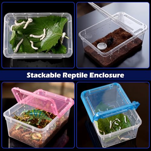 Novabright 12 Pcs Plastic Reptile Terrariums with Vented Holes, Snake Breeding Box Hatching Container for Spider Turtle Tarantula Scorpion Lizard Gecko (6.5 x 4.53 x 2.56 Inch)