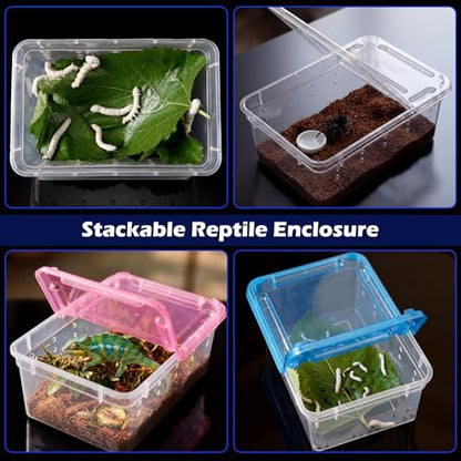 Novabright 12 Pcs Plastic Reptile Terrariums with Vented Holes, Snake Breeding Box Hatching Container for Spider Turtle Tarantula Scorpion Lizard Gecko (6.5 x 4.53 x 2.56 Inch)