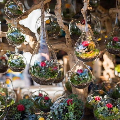 PATIKIL Round Globe Terrarium Air Plant Planter, 3.2 Inch High Borosilicate Glass Table Decorations for Succulent, Tillandsia, Clear - size: 3.2 Inch