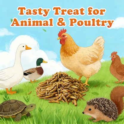 5.5 LBS Dried Black Soldier Fly Larva/Dried Mealworms - 100% Natural BSF Larvae - 85XMore Calcium Than Mealworms - High Calcium Treats for Chickens, Birds, Reptiles, Hedgehog, Geckos, Turtles- 5.5 LBS - size: 5.5 Pound (Pack of 1)