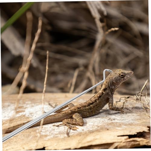 ORFOFE Eco-Friendly Snake Catcher Telescopic Snake Pole Reptile Handling Tool