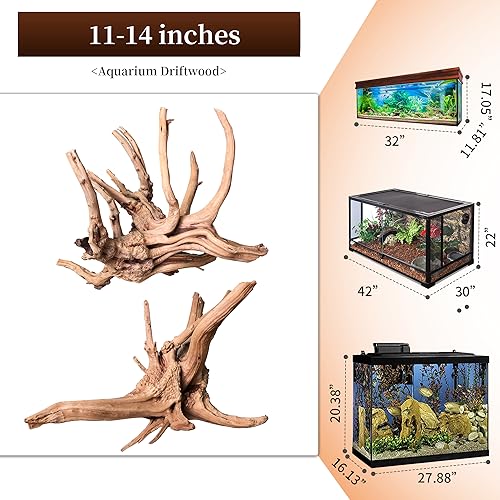 Natural Large Driftwood for Aquarium Decor Fish Tank Decor Reptile Decor | Assorted Driftwood Branch, Natural Driftwood for Aquascaping and Reptile Decor - size: Spiderwood 11 to 14 Inch(Pack of 2)