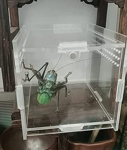 AWXZOM Magnetic Acrylic Case, micro habitat small Tarantula Enclosure enclosure for arboreal Tarantula Scorpion Sling Lizards Mantis Snake Gecko jumping spider snail Insect Isopods (3.5*3.5*3.7inch) - size: 3.5*3.5*3.7inch