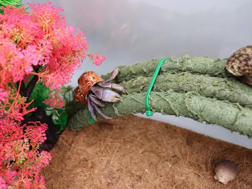 Oooct Turtle Climbing Toys, Plastic Simulation Reptile Climbing Ramp, Reptile Tank Terrarium Accessories, Jungle Climber Long Vines Habitat Decor for Lizards Geckos Snakes