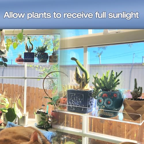 2 Pack 12 Inch Acrylic Window Boxes Plant Shelves, with Suction Cup Window Sill Extender, for Indoor/Outdoor Succulents, Micro Greens, Seed Starter Pots, Herb Planters - size: 12IN-2PC