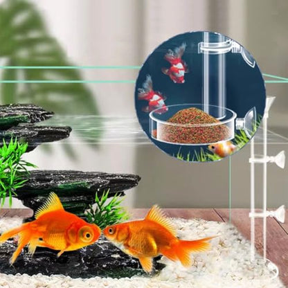2Pcs Round Transparent Acrylic Fish Tank Feeder Dish with Suction Cups Clear Aquarium Shrimp Feeder Dishes Food Tray Container (60MM)