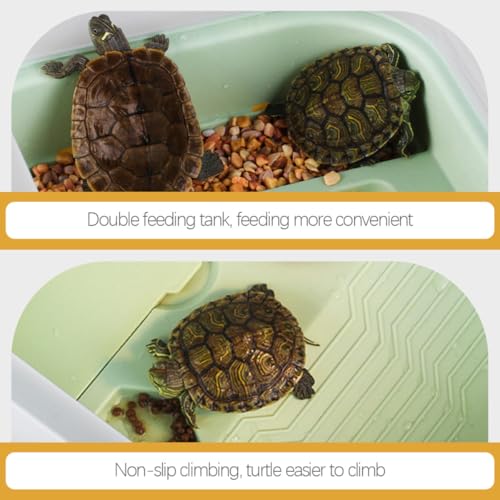 Indoor Tortoise Tank with Plastic Turtle Platform and Drainage System Portable Small Turtle Terrarium for Reptile Habitat Mint Green Basking Area