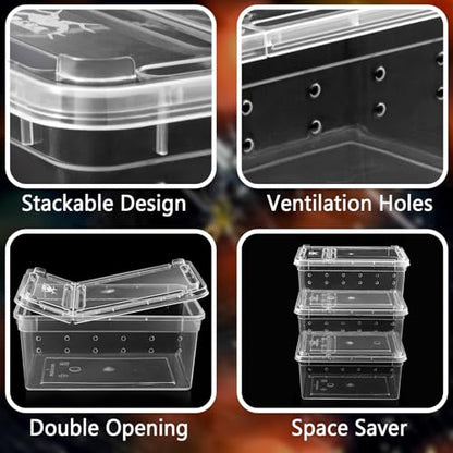 Small Jumping Spider Enclosure - 6 Pack Spider Terrariums, Breeding Box, Transparent Hatching Container, Plastic Feeding Box - 6 Pcs Super Mini