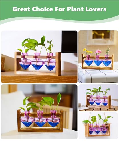 Nacome Plant Terrarium with Wooden Stand, 3 Heart Bulb Glass Vases | Wooden Stand Tabletop for Air Planter, Gifts for Mom Plant Lovers Mom Women Wife Grandma - color: Purple