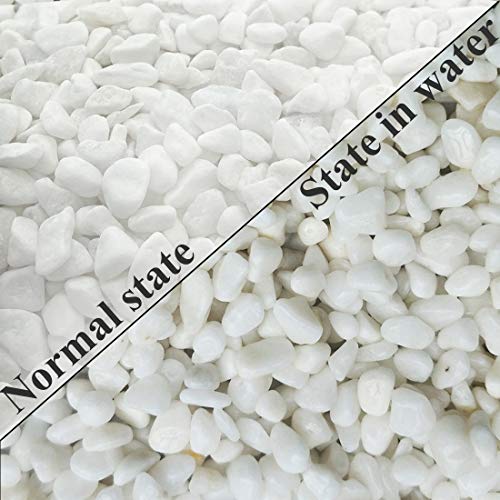 Aquarium Decorative Sands White Gravel Pebbles, 2 Pounds | Fit for Aquariums, Succulent Plants, Terrarium Landscape