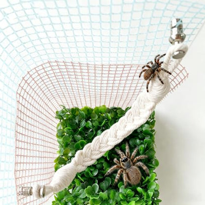 Jumping Spider Enclosure Accessories, Climbing Net & Fence for Reptiles | Spider Terrarium Decor,Jumping Spider Suspension Bridge,for Small Reptile Spoods Jumping Spider Habitat Accessories Set.