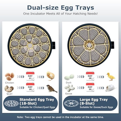 Incubators for Hatching Eggs, 18 Eggs Incubator with Egg Candler, Auto Egg Turner, Temp & Humidity Control, Hatch Day, Auto Water Refill, 2 Size Egg Tray, 360° Viewing for Chicken, Duck, Quail - size: 18 Eggs