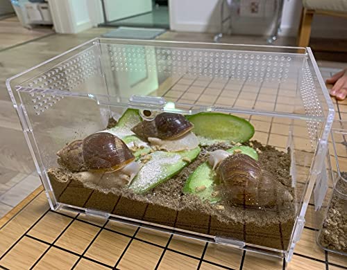 AWXZOM Magnetic Acrylic Case, micro habitat small Tarantula Enclosure enclosure for arboreal Tarantula Scorpion Sling Lizards Mantis Snake Gecko jumping spider snail Insect Isopods (7.8*4.7*4.7inch) - size: 7.8*4.7*4.7inch