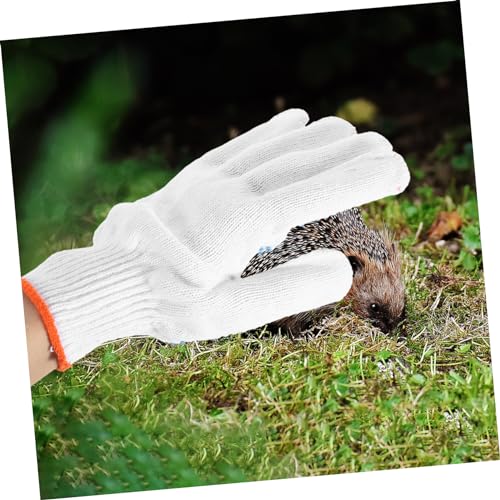 DOITOOL Bite Thickened Animal Handling Gloves for Pet Protection Scratch and Cut Resistant Gardening Gloves Breathable Soft Material Random Color Pair for Dog Cat Bird Reptile Random Color