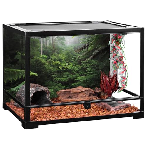 AWERT Foggy Forest Terrarium Background Green Tree Reptile Habitat Background Tropical Rainforest Aquarium Background 60x24 inches - size: 60x24in/150x60cm