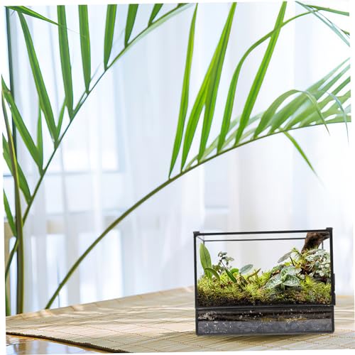 POPETPOP Geometric Glass Ecosystem Terrarium for Mini Rainforest Display Small Moss Planter Box Lid DIY Desktop Micro Landscape Holder