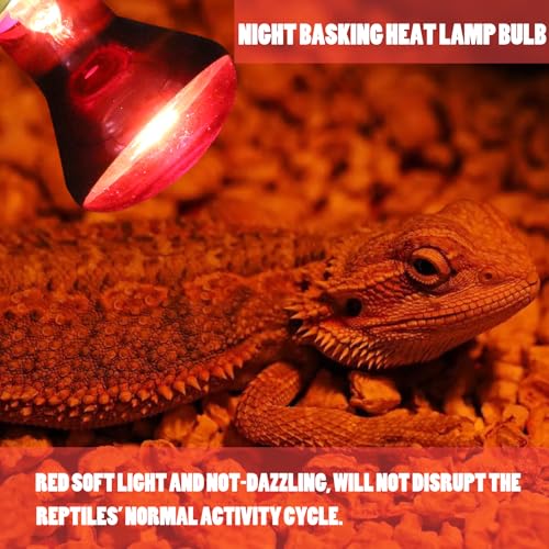 Reptile Heat Lamp Bulb 100 Watt, Day Time & Night Basking Spot Light Combo Pack, Amphibians Infrared Red Heat Light Bulb and Daylight Heating Lamp for Bearded Dragon, Leopard Gecko, Chicken, 4 Pack
