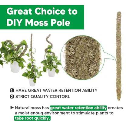 Natural Long Fiber Sphagnum Moss 1196QT for Orchid Potting Mix, and Moss Pole for Plants Indoor. Ideal for Propagating Plants, Maintaining Humidity for Reptiles, Isopods in Paludarium (22 lb) - size: 22 LB