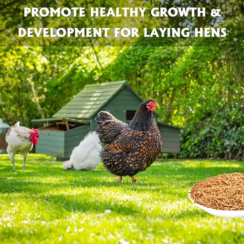 Dried Mealworms 10LB Meal Worms for Chicken Ducks and Wild Birds | Pure Natural Non-GMO High Protein Chicken Feed