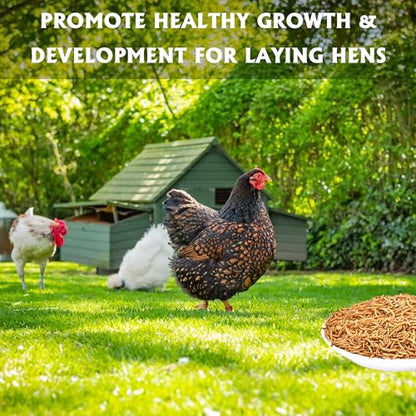 Dried Mealworms 10LB Meal Worms for Chicken Ducks and Wild Birds | Pure Natural Non-GMO High Protein Chicken Feed