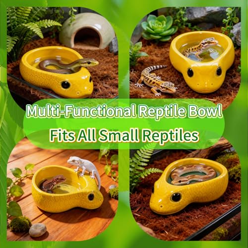 Reptile Water Dish, Ceramic Snake Water Bowl for Snake, Leopard Gecko, Bearded Dragon and Lizard, Reptile Bathing Pool Food Feeding Dish, Terrarium Tank Accessories (Yellow) | For Snake, Leopard Gecko, Bearded Dragon and Lizard, Reptile Bathing Pool, Food