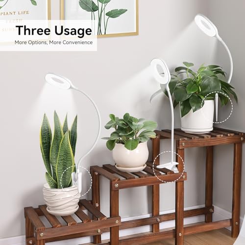 2 Packs Plant Growing Lamp, LED Pot Clip-on Plant Light for Growing | Full Spectrum Plant Light with Remote, 4/8/12H Timer, 10 Level Dimmable for Small Plants Succulents Seedlings - size: 2 Pack