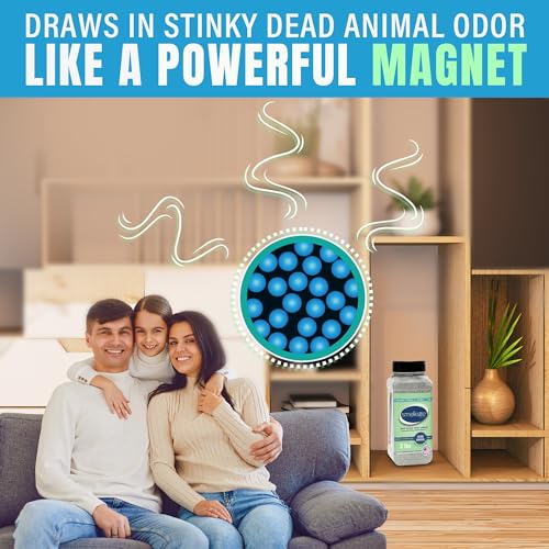 SMELLEZE Dead Animal Odor Removal Granules - 2 lb Bottle | Eliminate Dead Rat, Mice, Squirrel, Chipmunk, Raccoon & Bat Smell. Safe for Indoor & Outdoor Use - size: 32 Ounce (Pack of 1)