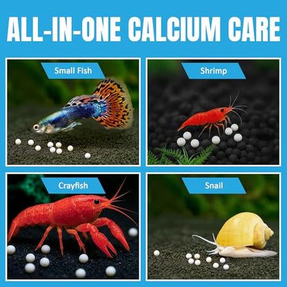 JOR Shrimp Calcium Bits, Slow-Release White Balls for Swimming Crustaceans, Snails & Small Fish, Supports Shell Development and Shedding, Aquarium Drop-in Supplementation, 3 oz per Pack