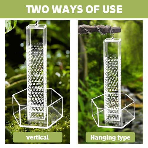 Chameleon Feeding Bowl, Hanging Transparent Acrylic Bearded Dragon Feeder, Hookable Lizard Feeder, Column for Insects to Climb Suitable for Lizard, Iguana, Gecko,Bearded Dragon
