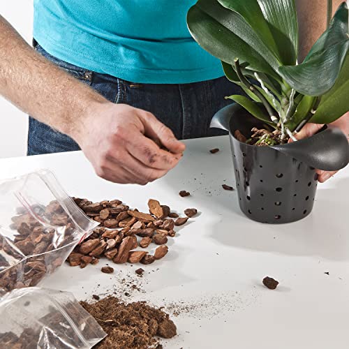 Doter Organic Orchid Potting Bark 1 QT, Featured Chunks Bark Garden Soil Amendment Mix for Proper Root Development of Phalaenopsis, Cattleyas and More