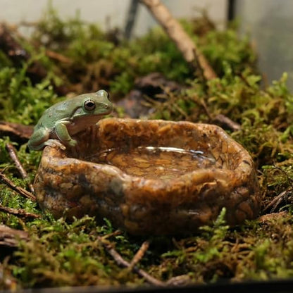 2 Pack Reptile Food Bowl Natural Sandstone Water Dish for Leopard Gecko Frog Bearded Dragon Snake Tortoise Hermit Crab