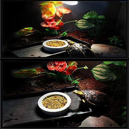 Tfwadmx 2 Pack Reptile Food Bowl, Mini Ceramic Water Feeder Bowl, Reptile Worm Feeding Dish for Lizard Turtle Bearded Dragon Anoles Crested Gecko Hermit Crab Leopard Gecko Chameleon Corn Snake - size: 1 Pc 2.7 '' x 0.8 ''