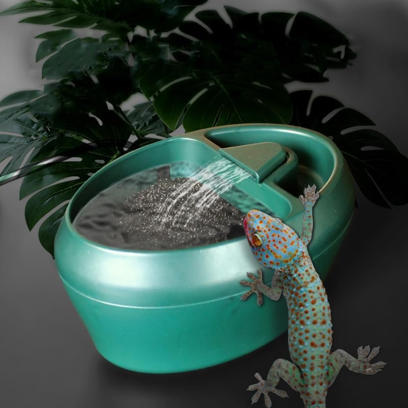 pet Water Reptile Drinking Fountain Water Dripper Suitable for Snake Gecko Lizard-Chameleon Bearded Dragon Water Dish Bowl Amphibians Insects Gecko Lizard Turtle Frog Water and Food with Water Pump