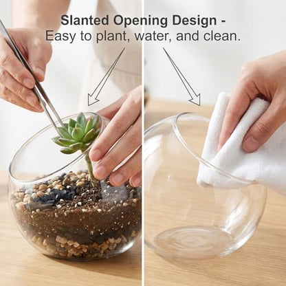 3 Pack Glass Terrarium Containers, Slanted Bowl Air Plant Holder Set | Small Clear Round Succulent Planter Globe for Micro Landscape, Candle Decor