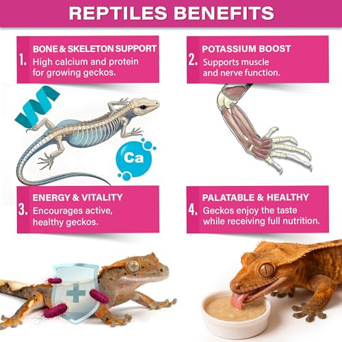 Gargeer 2oz Picky Geck Growth Formula - Crested Gecko Food. Made in USA | High-protein superfood for juvenile growth & adult strength! Banana, mango & date with BSFL, D3 & probiotics. Zero fillers - size: 2 Ounce (Pack of 1)