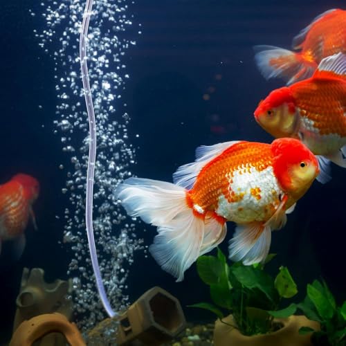 3/16" Aquariums Airline Tubing Standard Aquarium Tubing for Fish Tank Flexible Air Hose Pure Hose Aquarium Garden Terrarium Pond (40 feet) - size: 40 feet