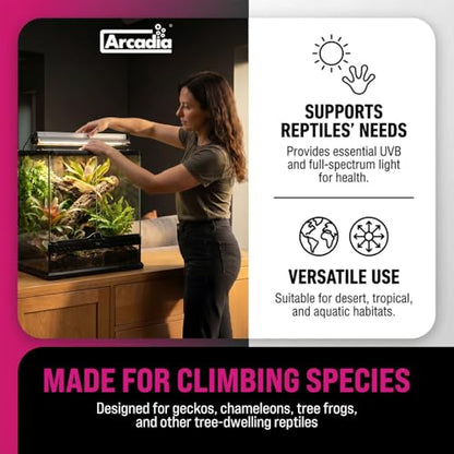 Arcadia T5 UVB Reptile Light Fixture Kit 22.5" Long 24 Watts 6% UVB Forest – Complete UVB Light for Reptiles, Turtles, Snake, Bearded Dragon Lamp, Long Lasting Easy to Use Professional Lighting