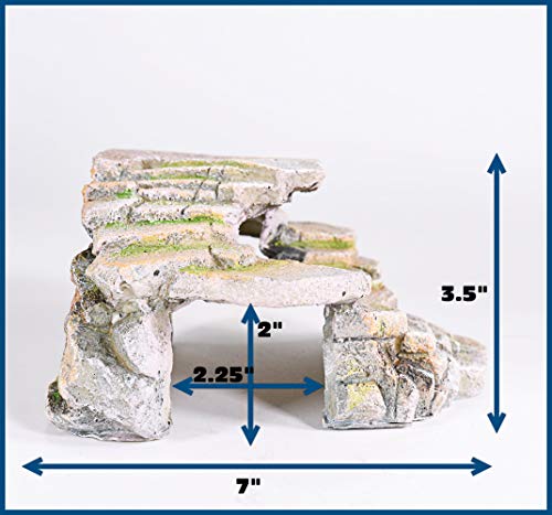 PENN-PLAX Reptology Shale Scape Step Ledge & Cave Hideout – Basking Area - Decorative Resin for Aquariums & Terrariums – Great for Reptiles, Amphibians, and Fish – Medium - size: Medium