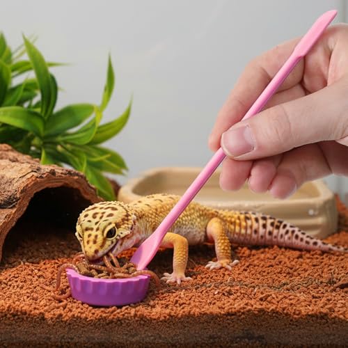 7PCS Silicone Crested Gecko Food Dish and 2PCS Stirred Feedings Stick | Colorful Water Bowl Reusable Small Reptile Feeding Dish for Crab Reptile Tanks Terrarium Accessories Crested