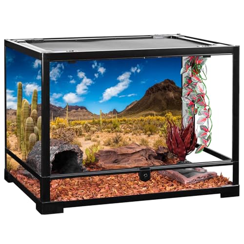 AWERT 36x24 inches Reptile Habitat Background Blue Sky Oasis Cactus Desert Terrarium Background Vinyl - size: 36x24in/90x60cm