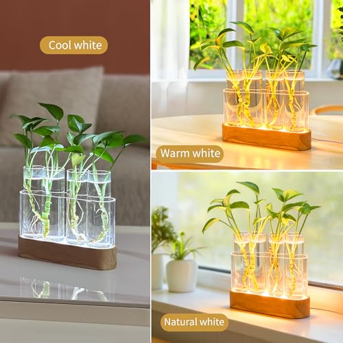 Plant Propagation Station with LED Grow Light, Wooden Stand & 4 Glass Tubes | For Hydroponic Plants, 3 Lighting Modes and 9 Brightness Levels; Desktop Plant Decor and Gift for Plant Lovers