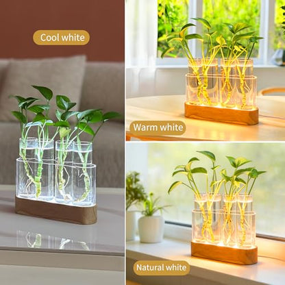 Plant Propagation Station with LED Grow Light, Wooden Stand & 4 Glass Tubes | For Hydroponic Plants, 3 Lighting Modes and 9 Brightness Levels; Desktop Plant Decor and Gift for Plant Lovers